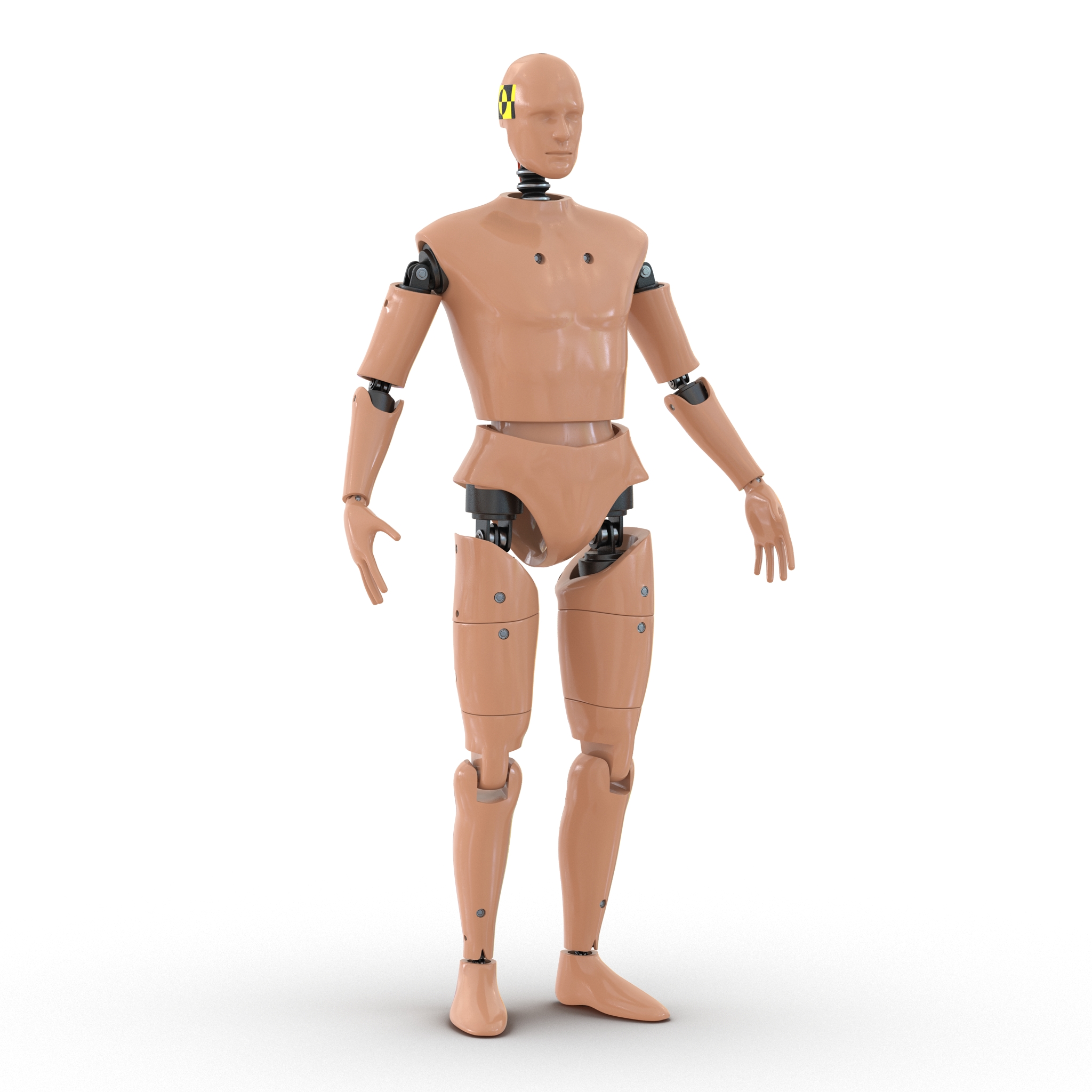 3D Male Crash Test Dummy Rigged model