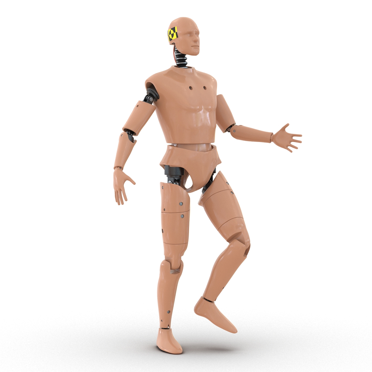 3D Male Crash Test Dummy Rigged model