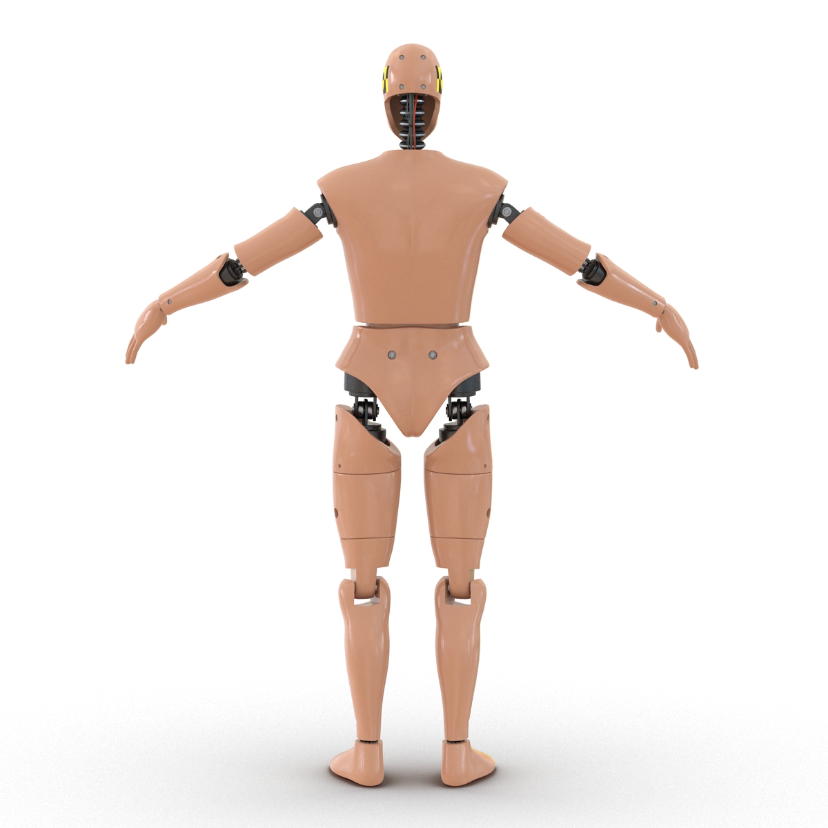 3D Male Crash Test Dummy Rigged model