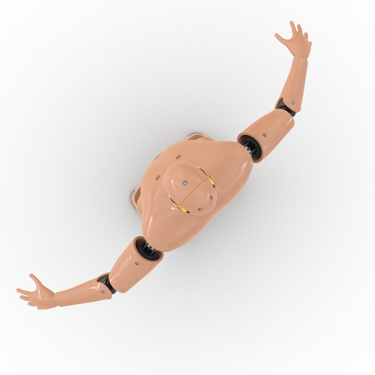 3D Male Crash Test Dummy Rigged model