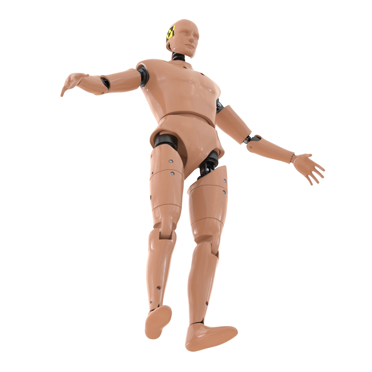 3D Male Crash Test Dummy Rigged model