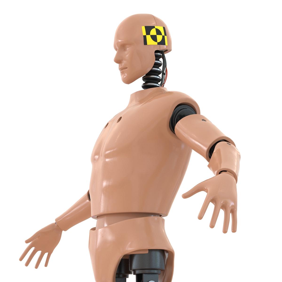 3D Male Crash Test Dummy Rigged model