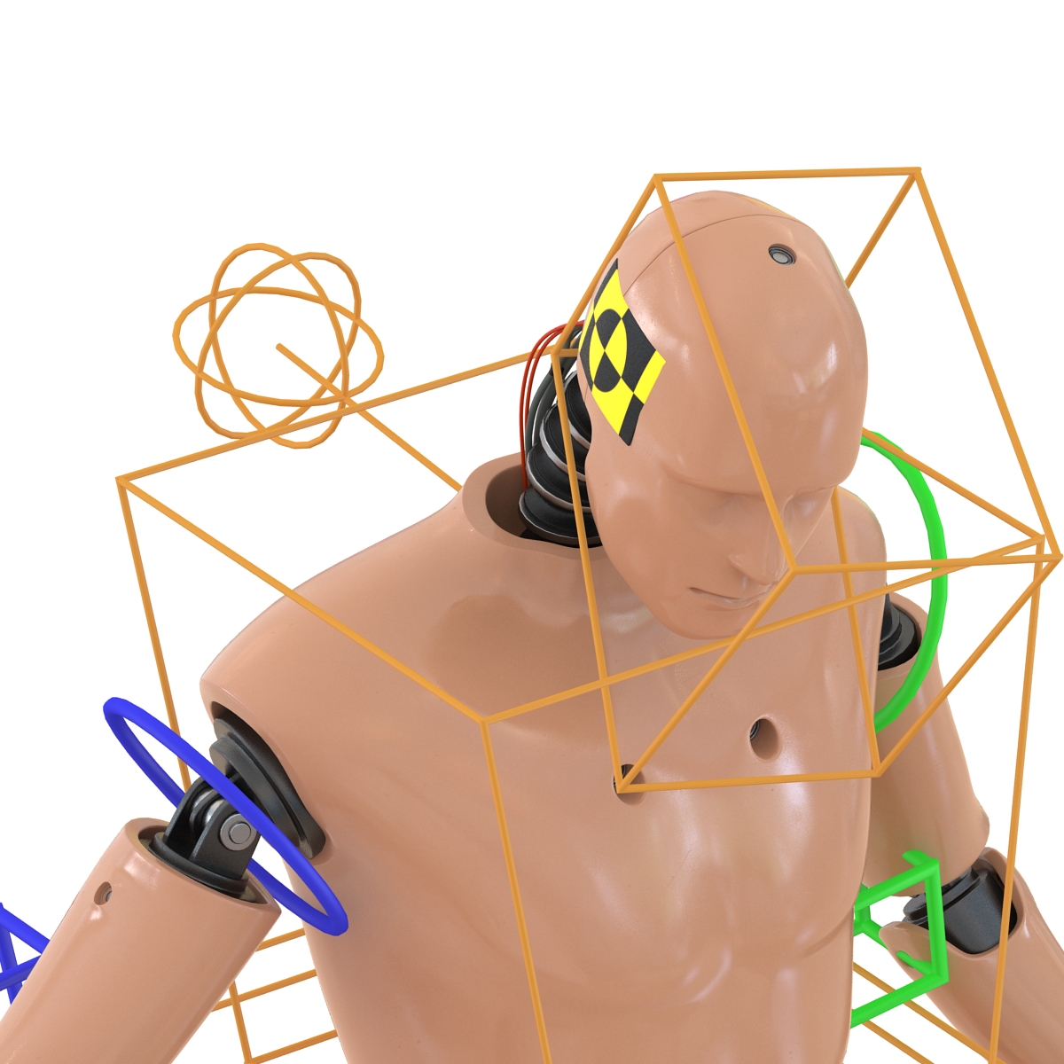 3D Male Crash Test Dummy Rigged model