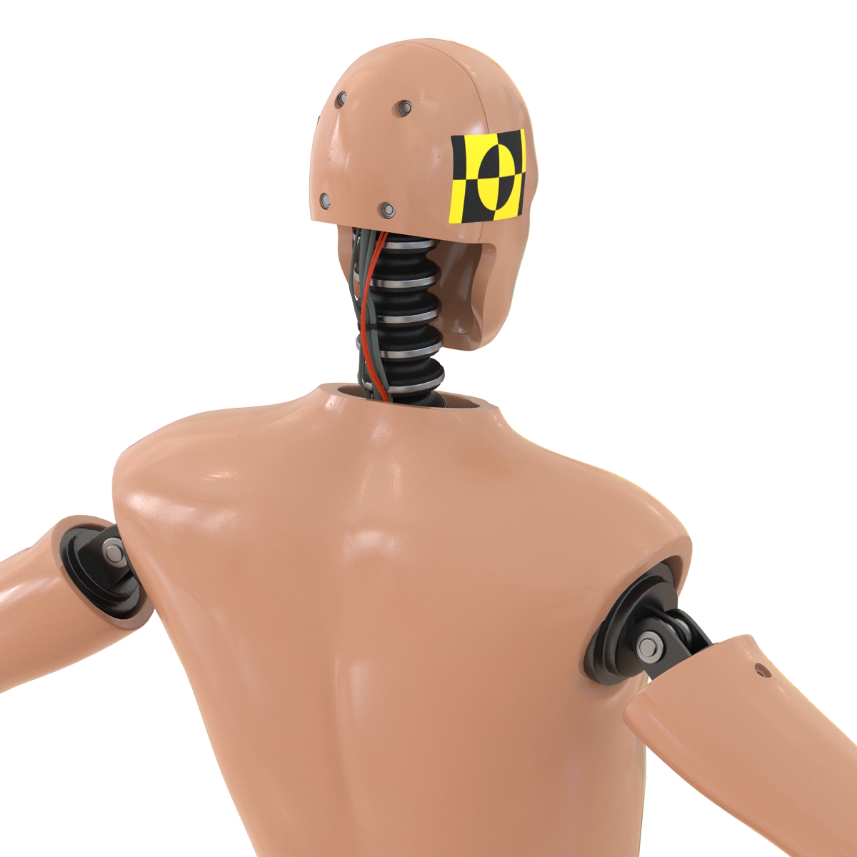 3D Male Crash Test Dummy Rigged model