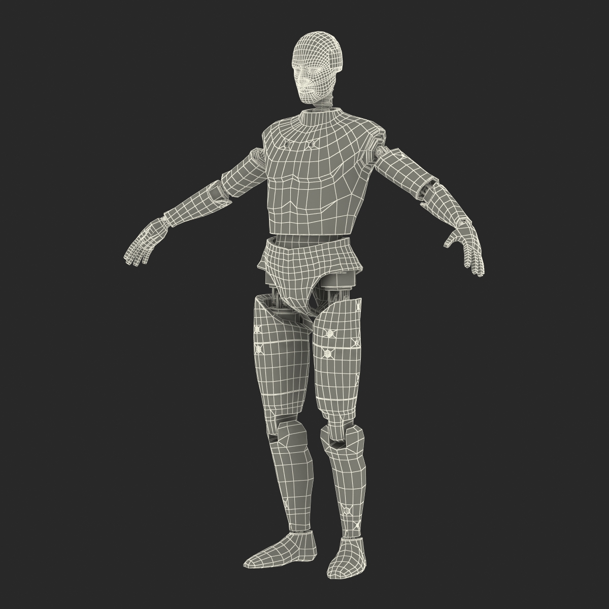 3D Male Crash Test Dummy Rigged model