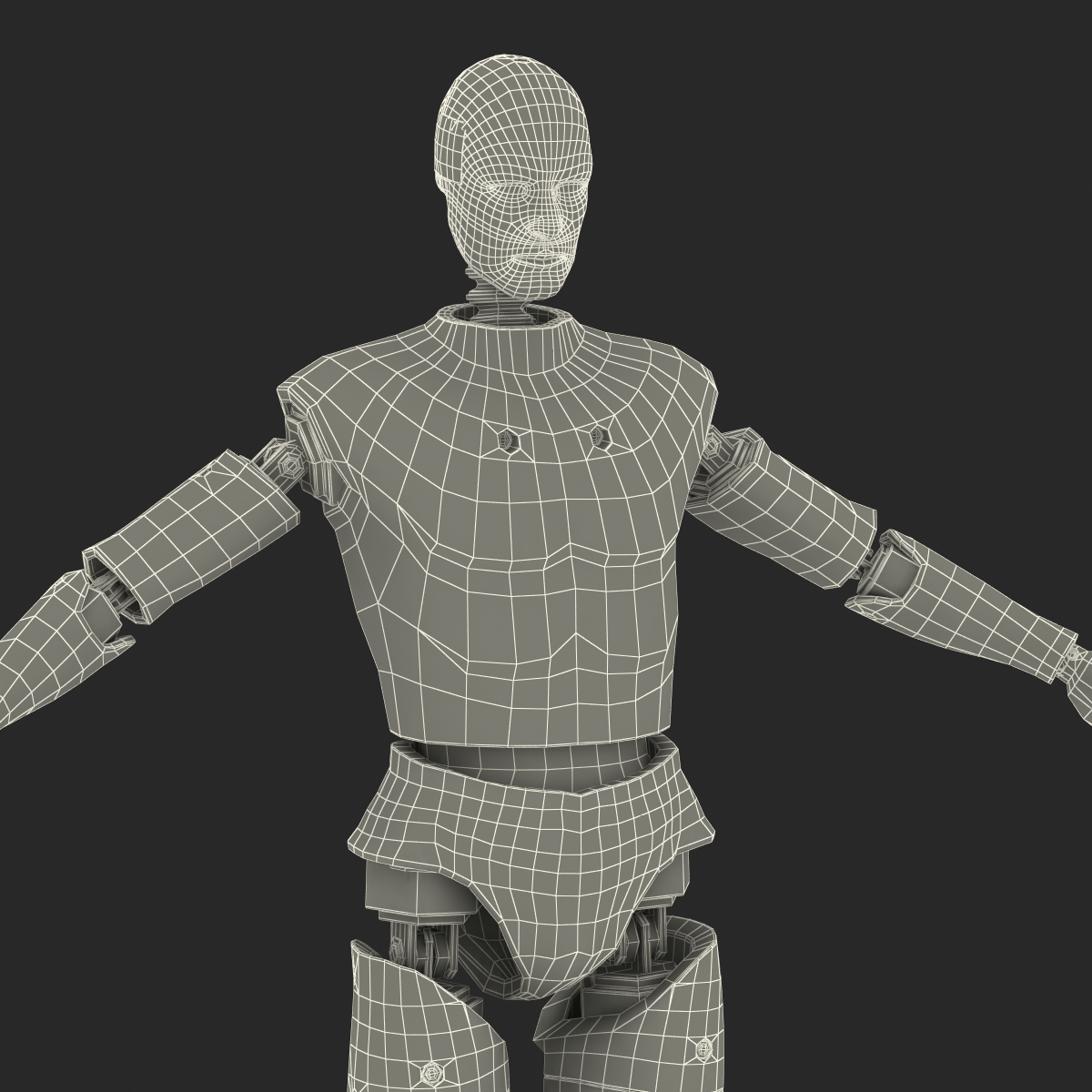 3D Male Crash Test Dummy Rigged model