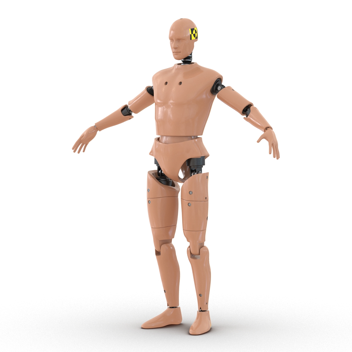 3D Male Crash Test Dummy