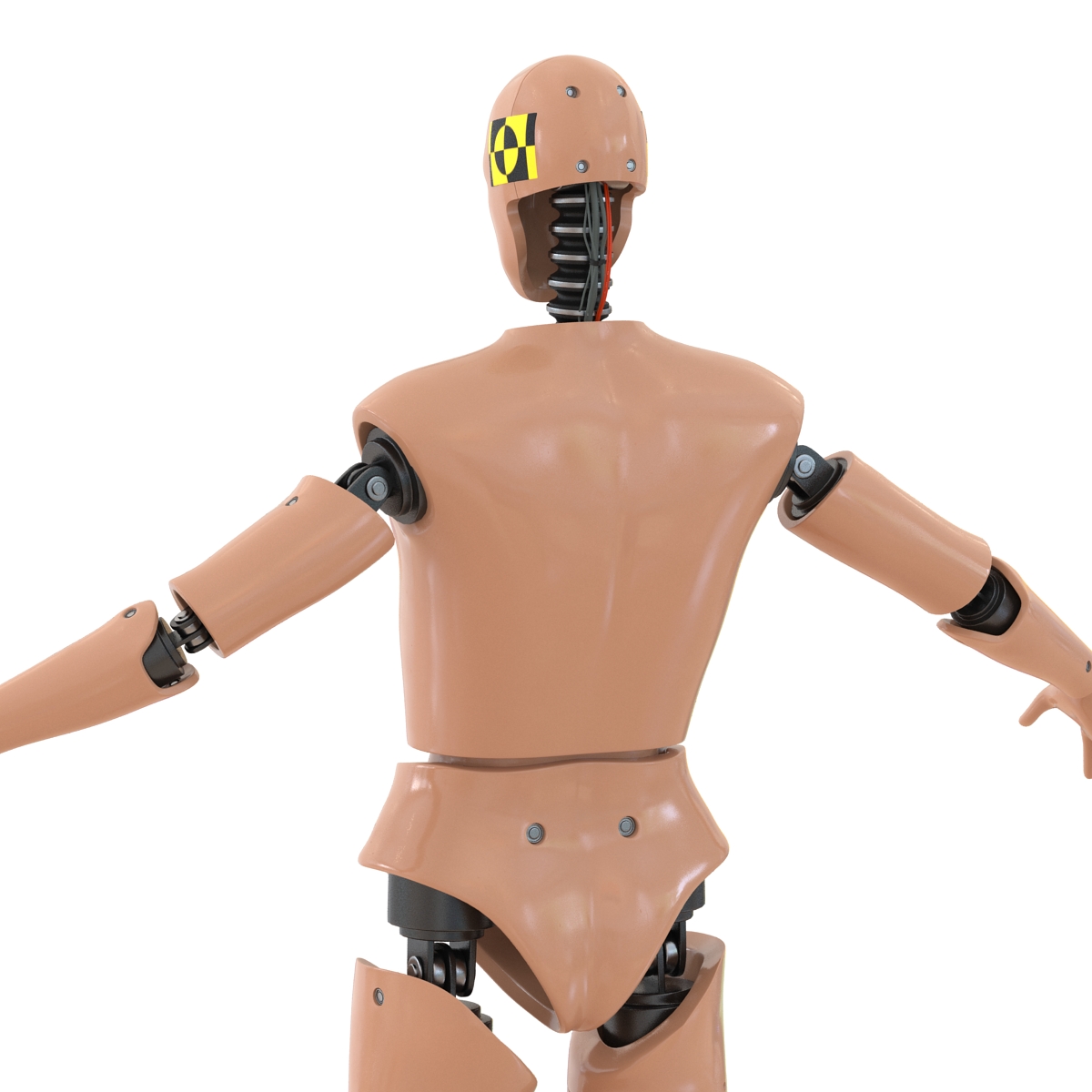 3D Male Crash Test Dummy