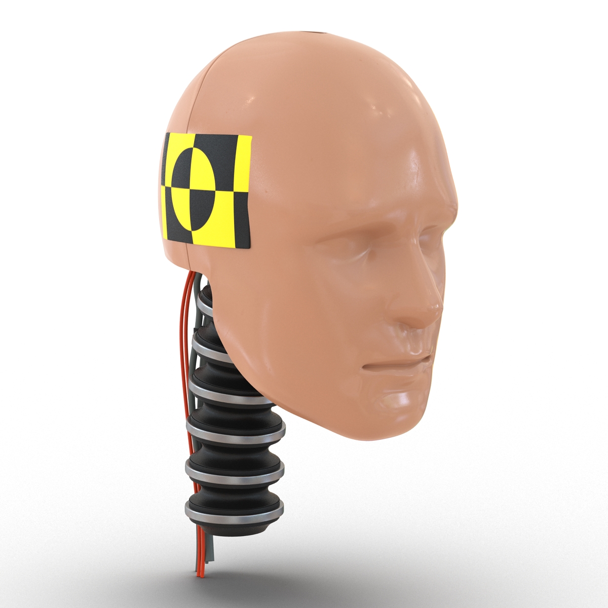 3D Male Crash Test Dummy Head