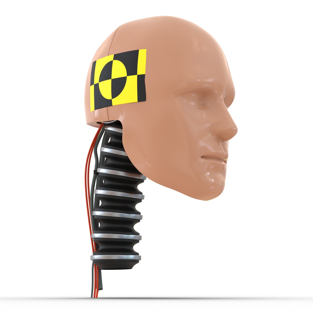 3D Male Crash Test Dummy Head