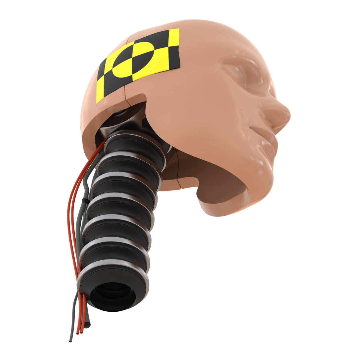 3D Male Crash Test Dummy Head