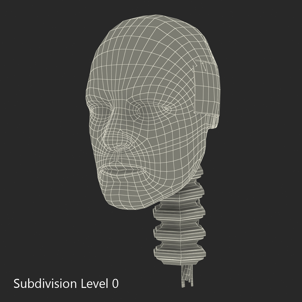 3D Male Crash Test Dummy Head