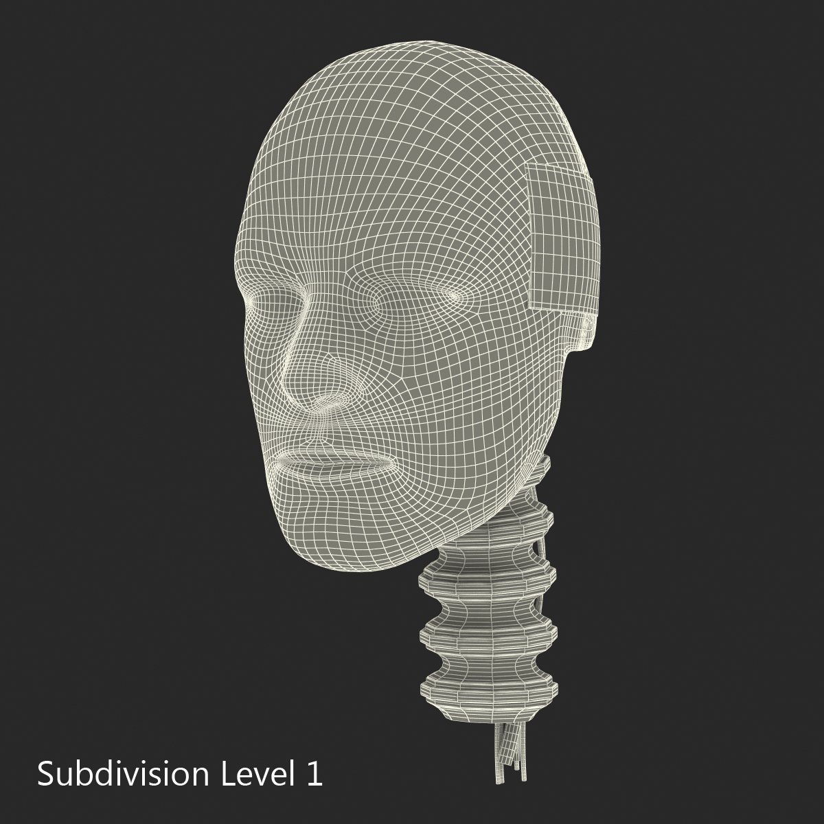 3D Male Crash Test Dummy Head