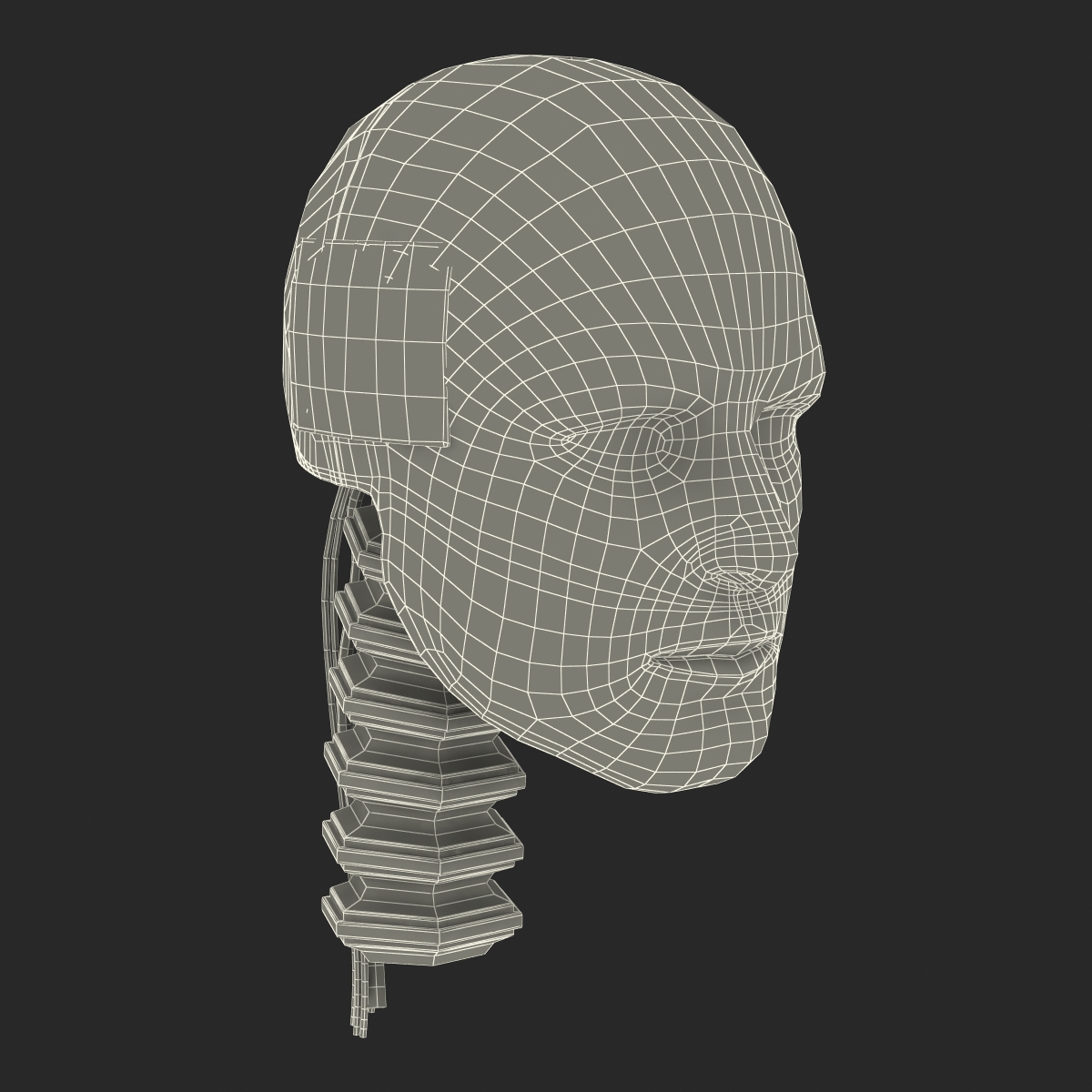 3D Male Crash Test Dummy Head