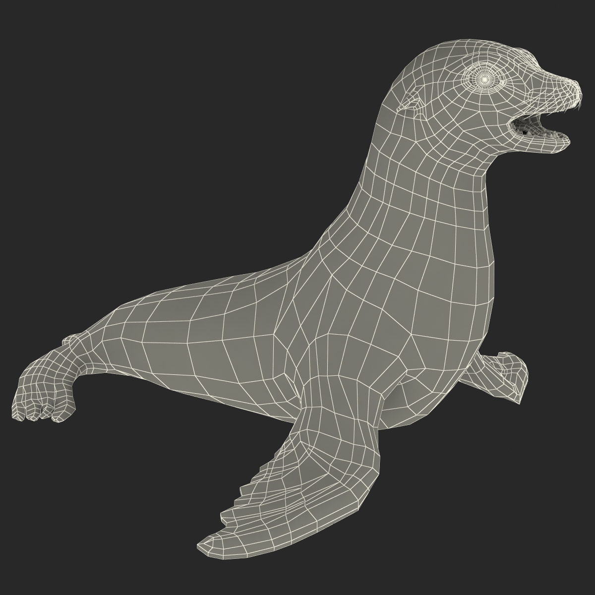 3D model Sea Lion