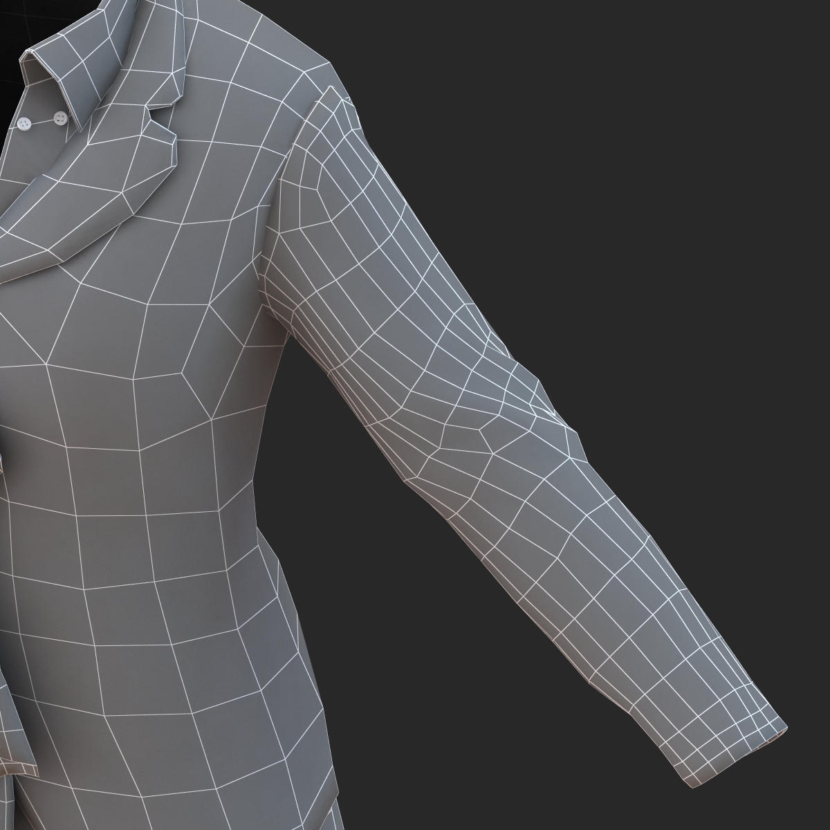 Formal Skirt Suit 3D