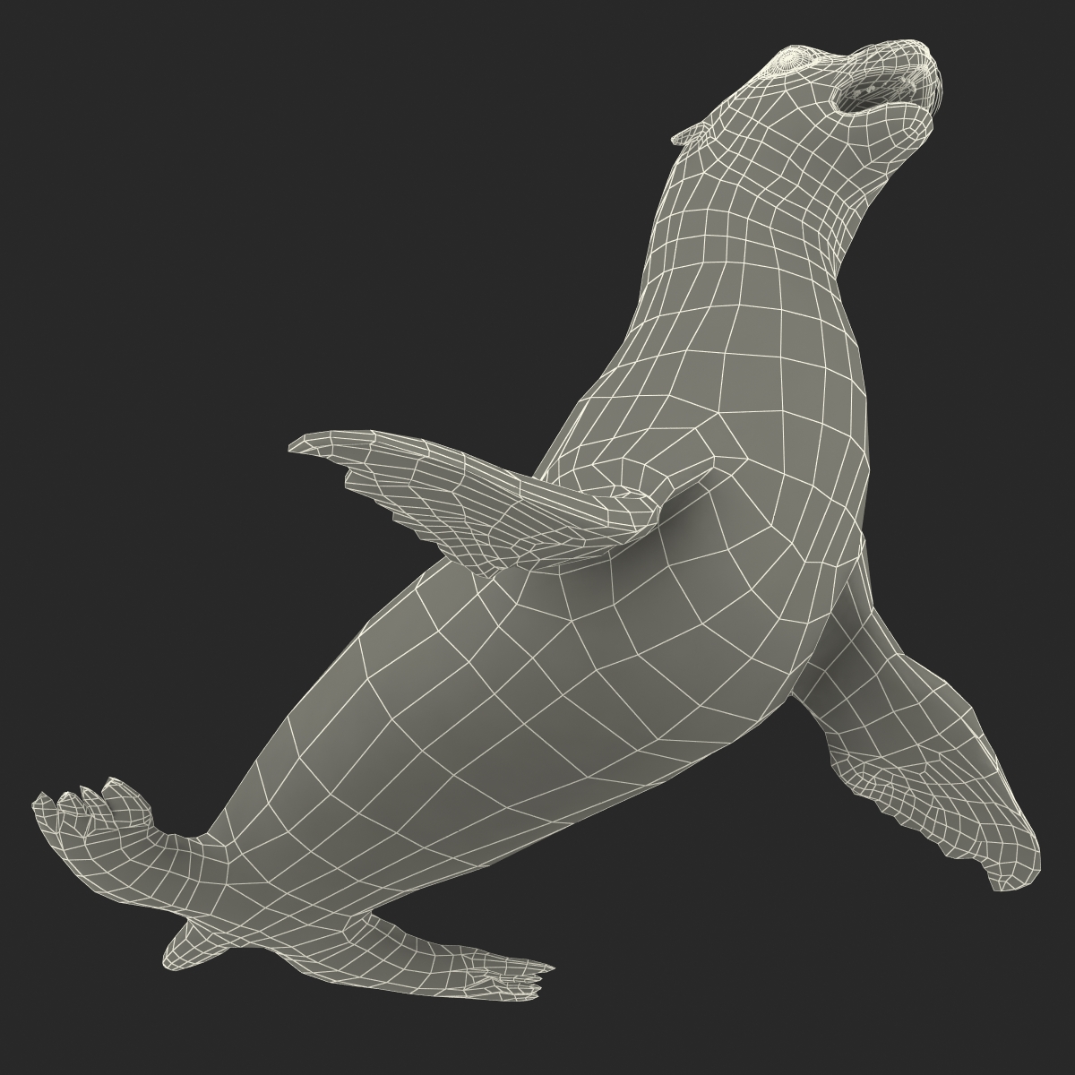 3D model Sea Lion Rigged