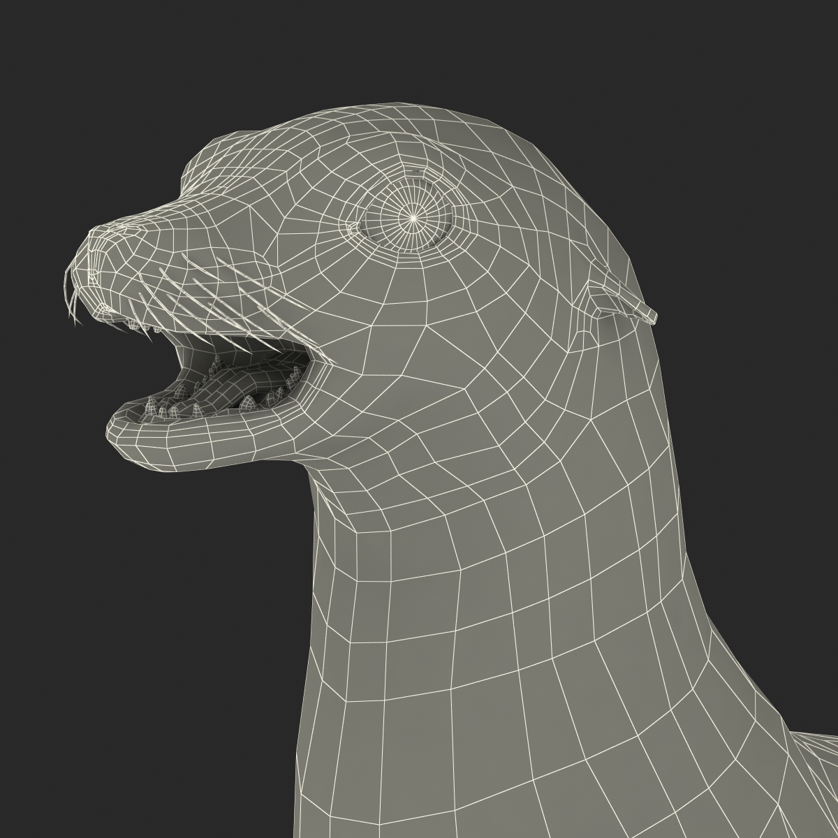 3D model Sea Lion Rigged