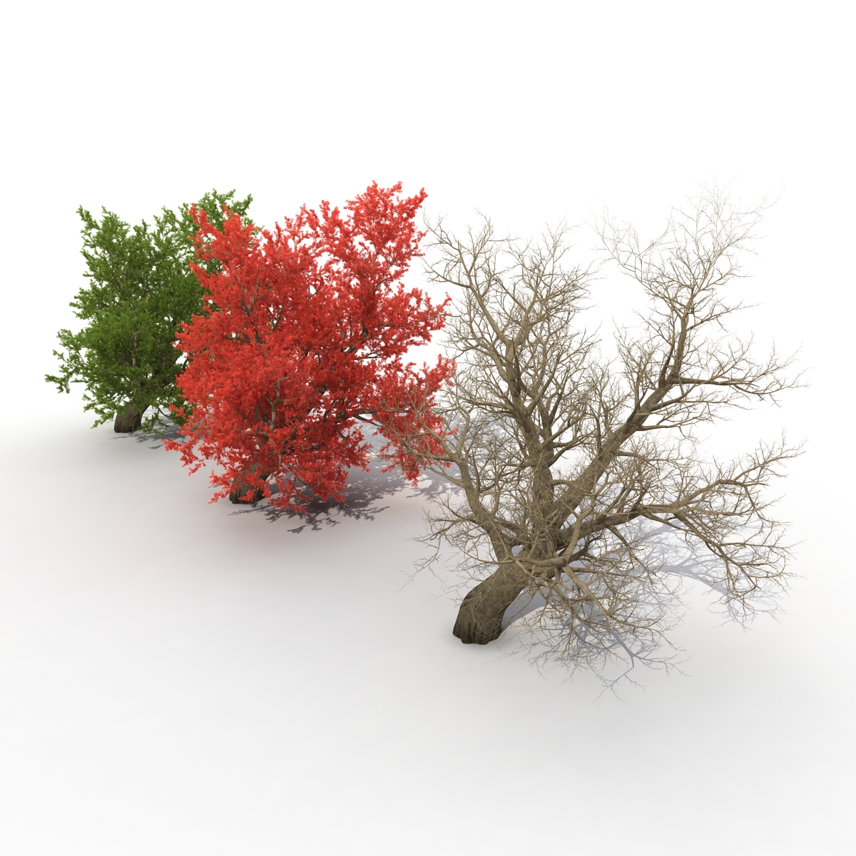 Old Red Maple Tree Set 3D