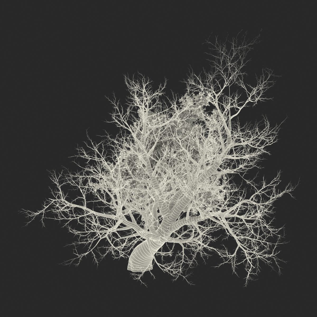 Old Red Maple Tree Set 3D