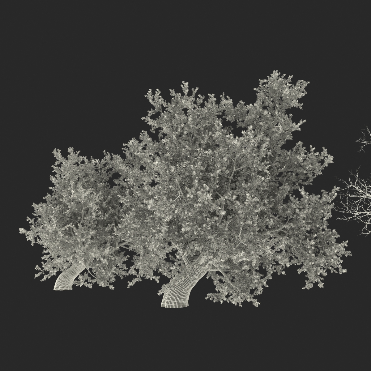 Old Red Maple Tree Set 3D