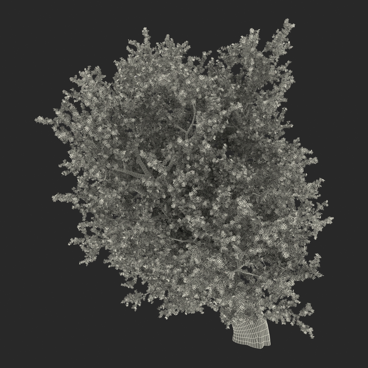 3D model Old Red Maple Tree Summer