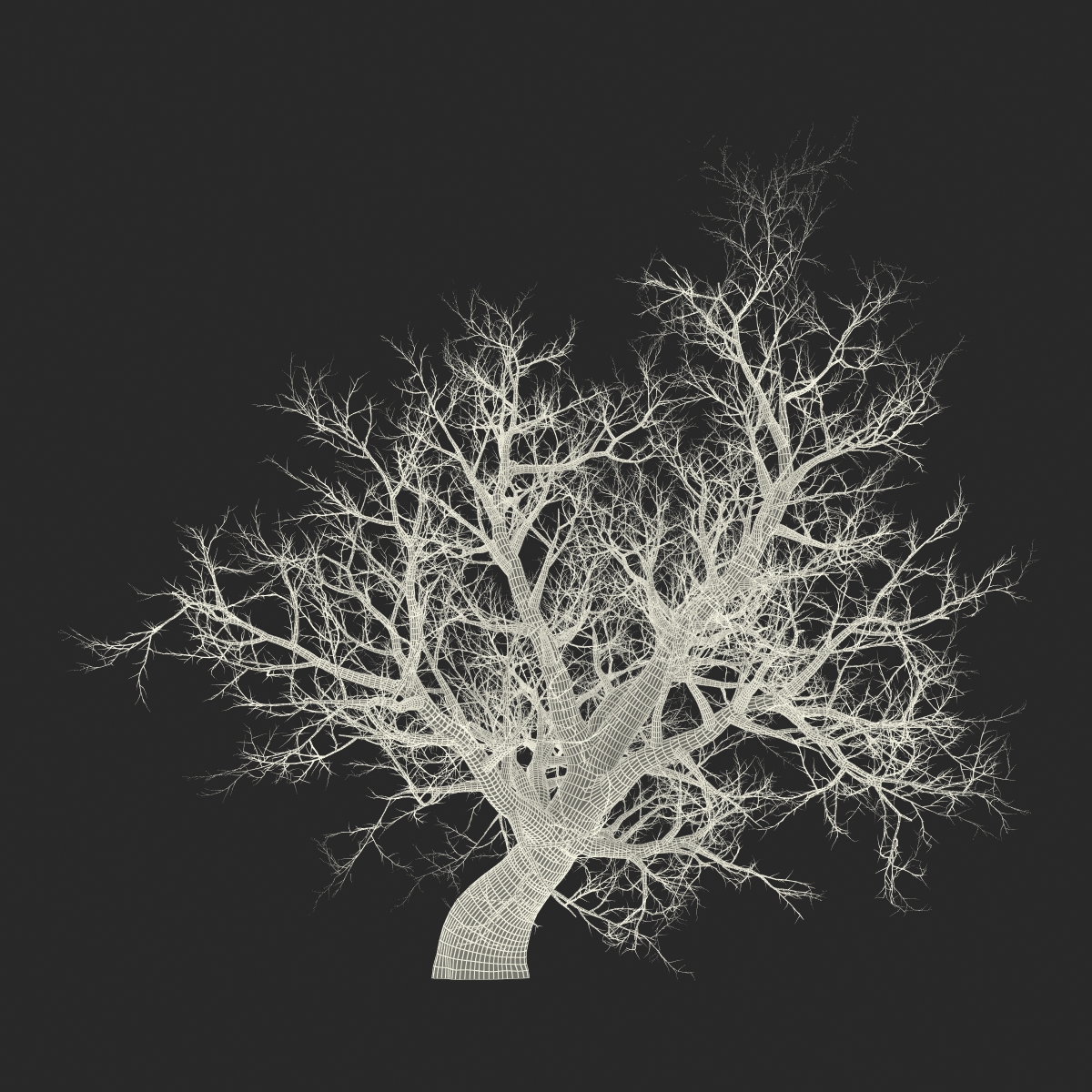 3D model Old Red Maple Tree Winter