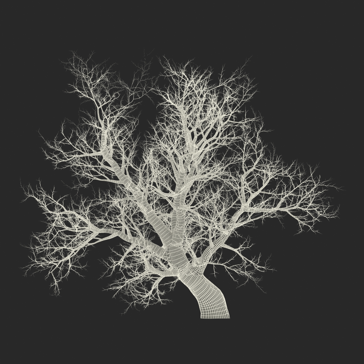 3D model Old Red Maple Tree Winter