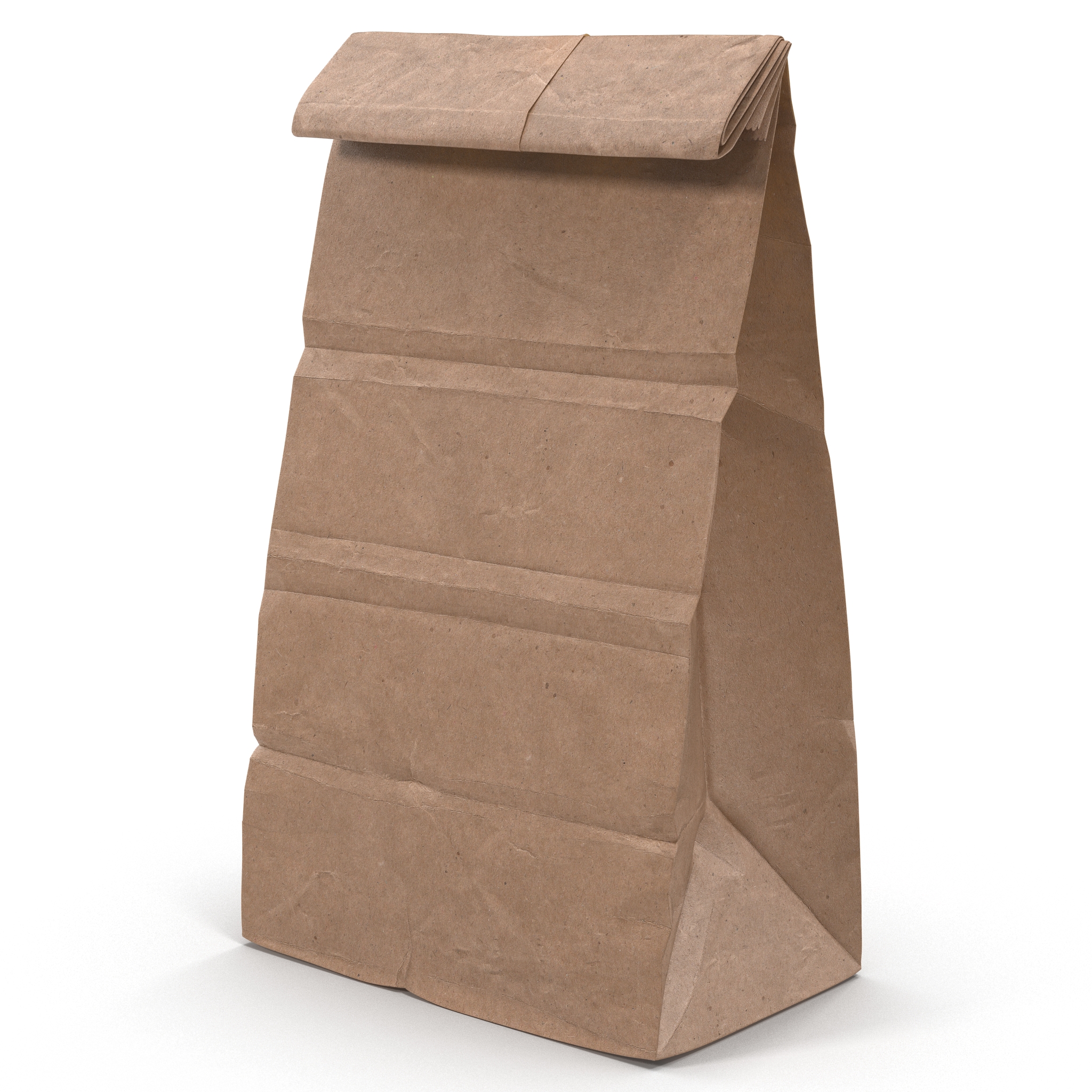 3D Paper Bag 2