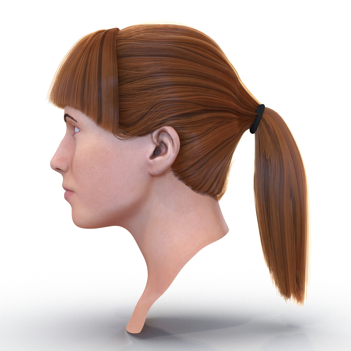 3D Female Caucasian Head with Hair