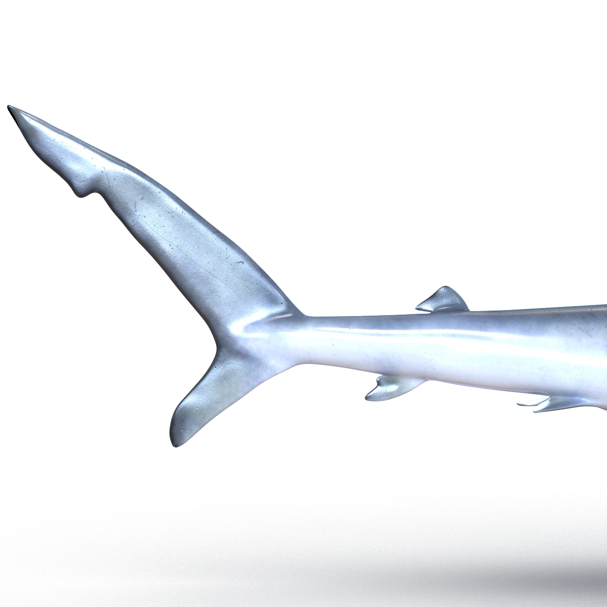 Blue Shark Rigged 3D