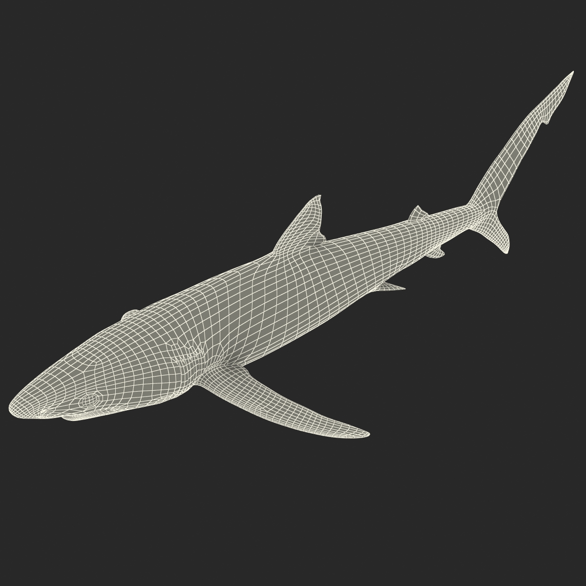 Blue Shark Rigged 3D