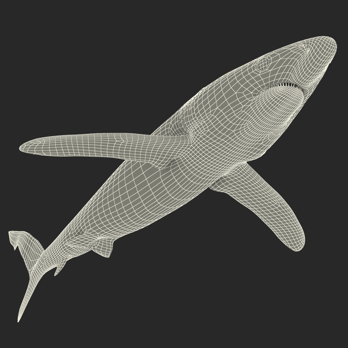 Blue Shark Rigged 3D