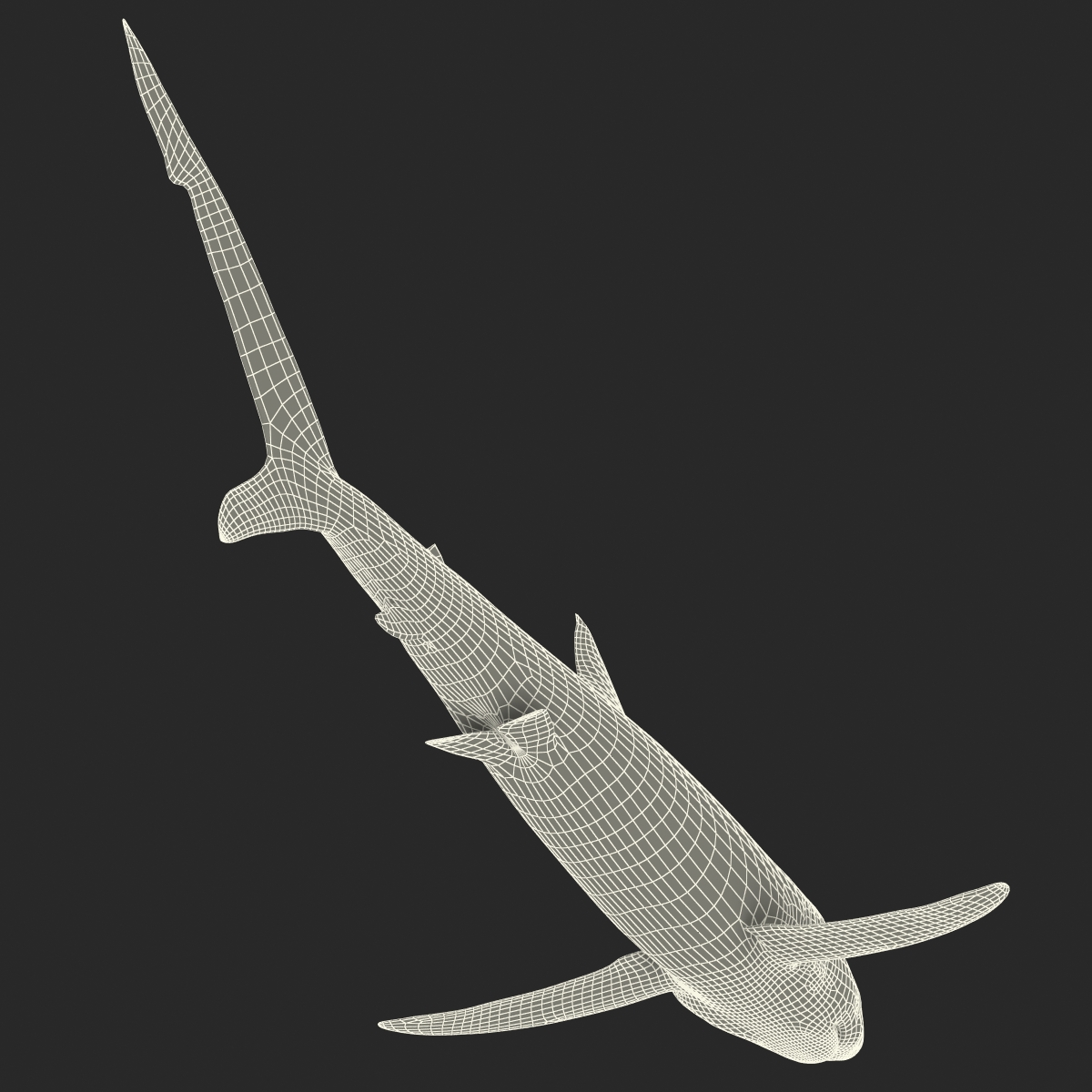 Blue Shark Rigged 3D