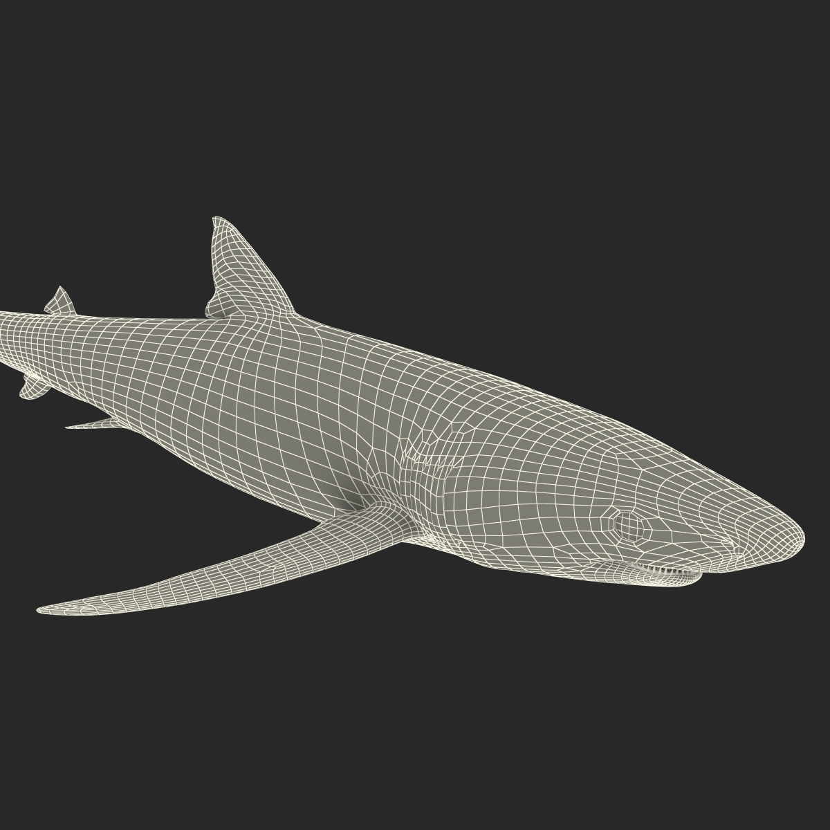 Blue Shark Rigged 3D