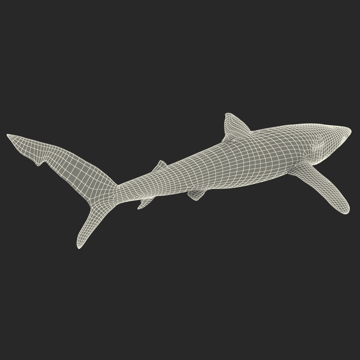 3D model Blue Shark