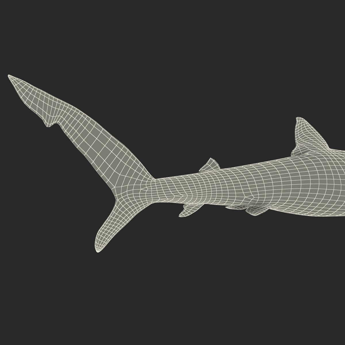 3D model Blue Shark