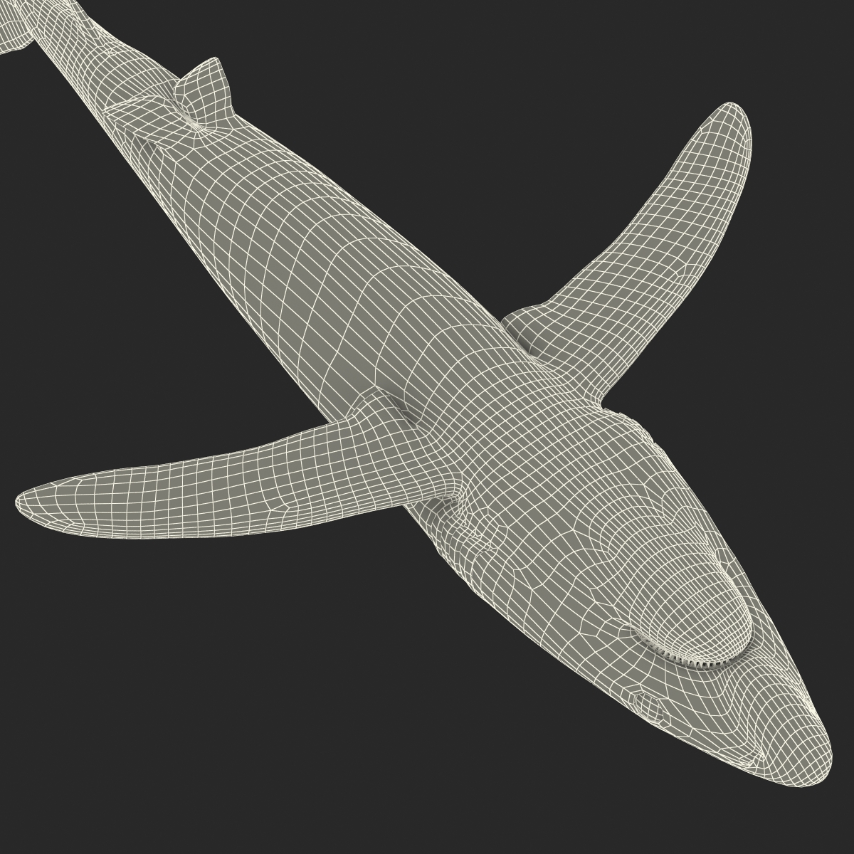 3D model Blue Shark