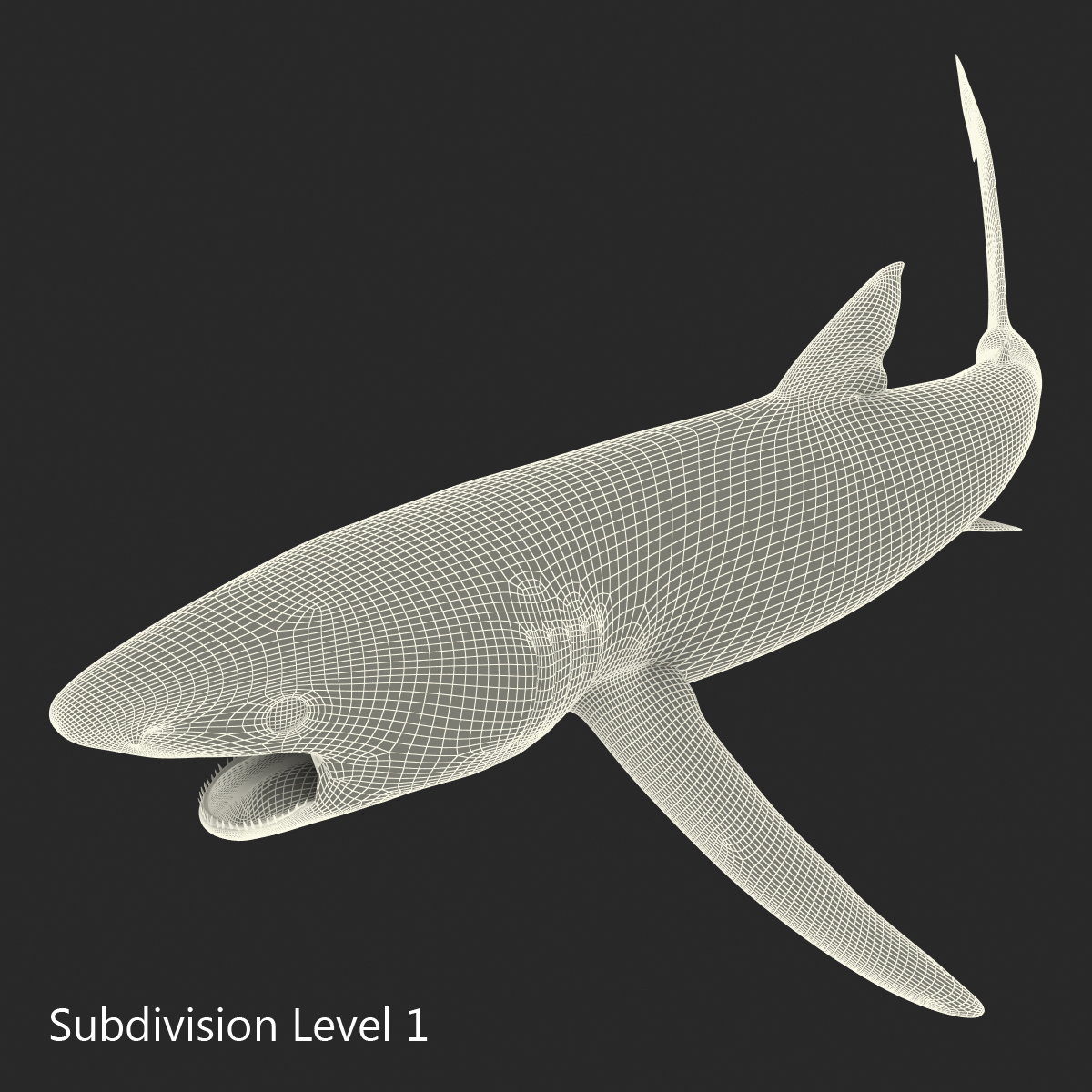 Blue Shark Pose 2 3D