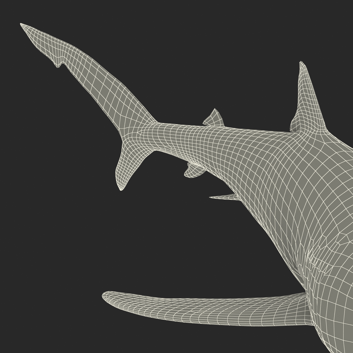 Blue Shark Pose 2 3D