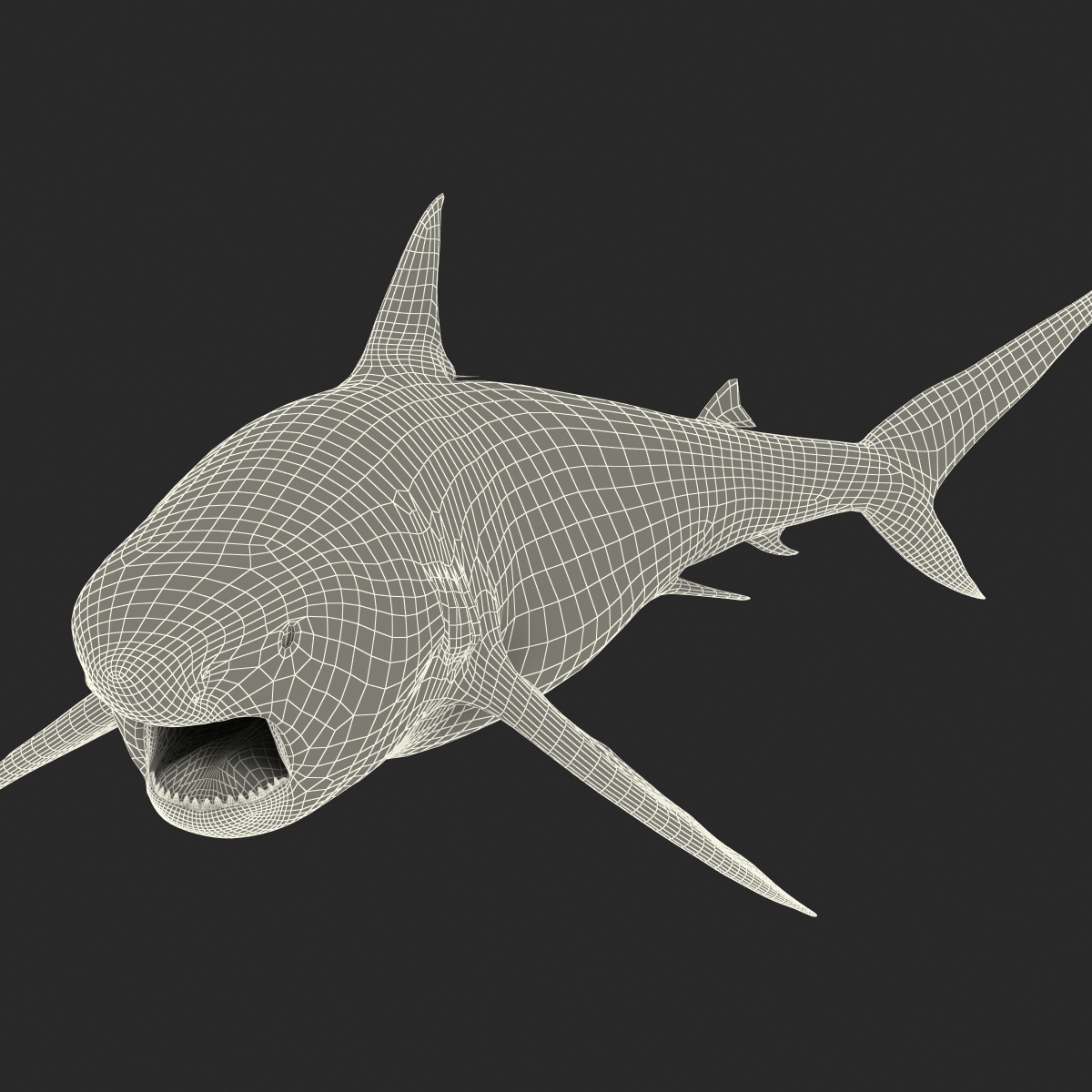 Pigeye Shark Pose 2 3D model