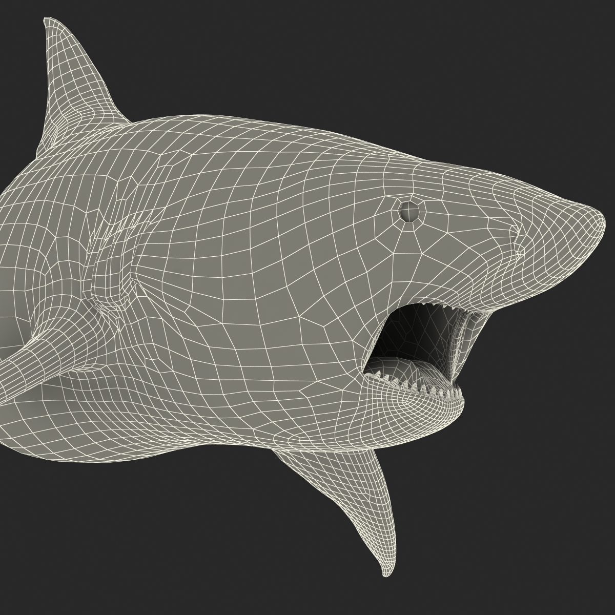 Pigeye Shark Pose 2 3D model