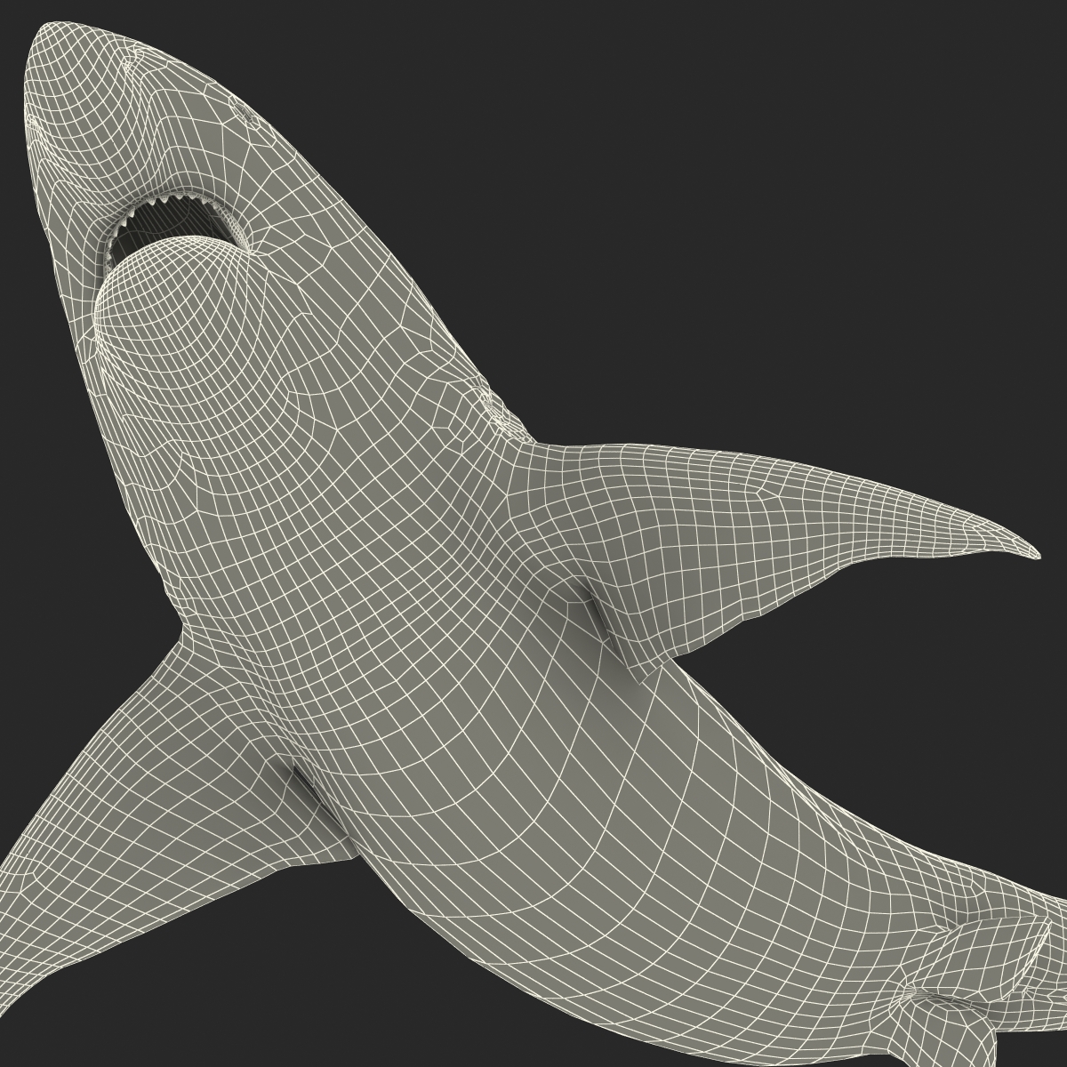 Pigeye Shark Pose 2 3D model