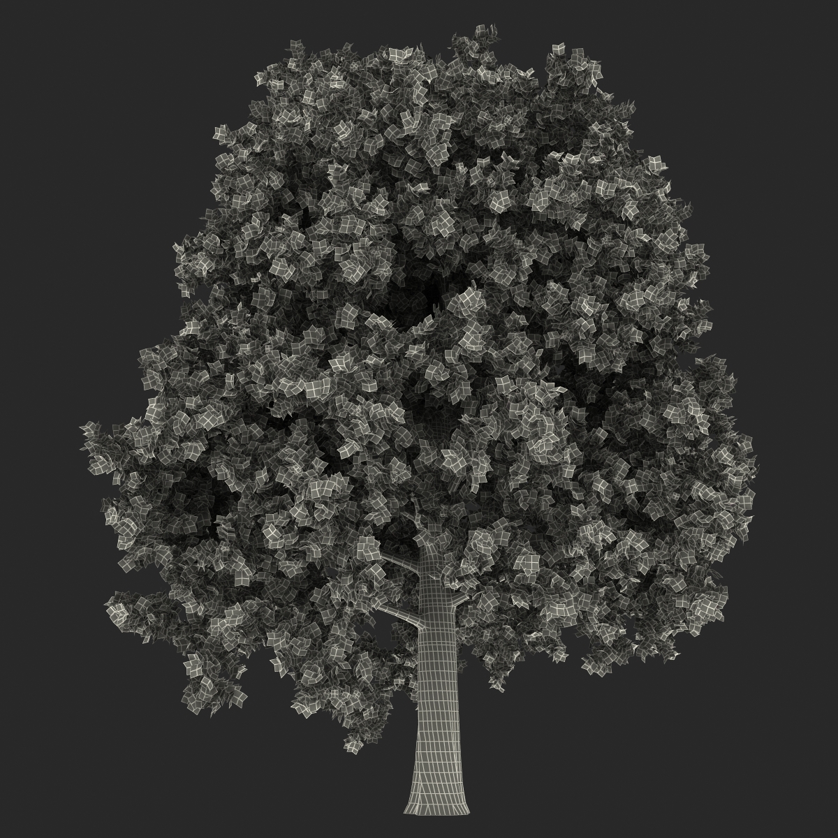 Red Oak Tree Autumn 3D model