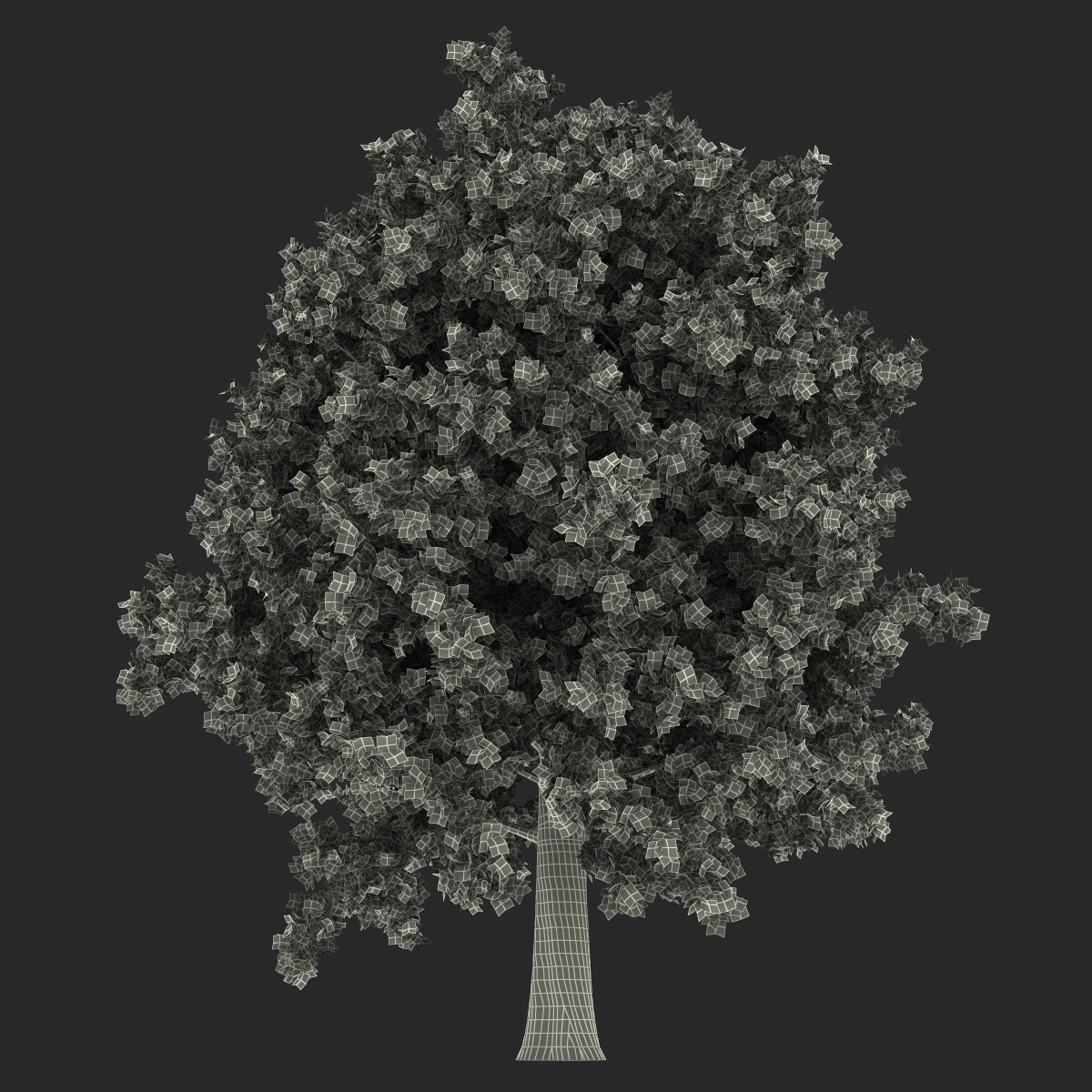 Red Oak Tree Summer 3D model