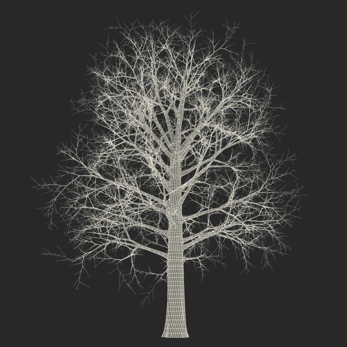 Red Oak Tree Winter 3D model