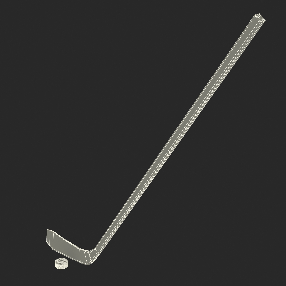 3D Hockey Stick and Puck