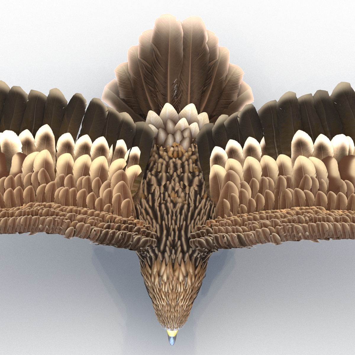 3D Imperial Eagle Pose 7