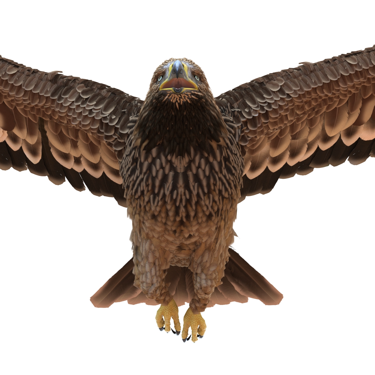 3D Imperial Eagle Pose 7