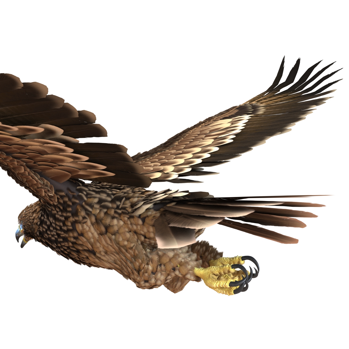 3D Imperial Eagle Pose 7